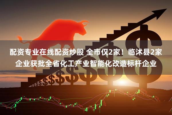 配资专业在线配资炒股 全市仅2家！临沭县2家企业获批全省化工产业智能化改造标杆企业