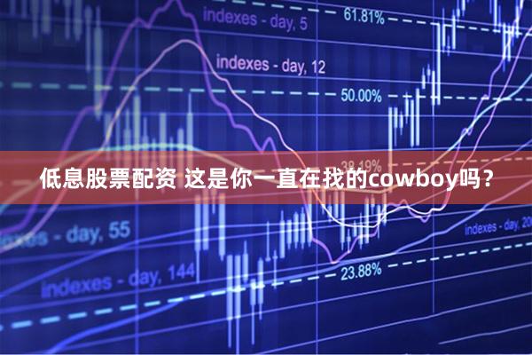低息股票配资 这是你一直在找的cowboy吗？